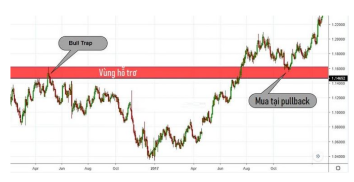 Bull Trap Là Gì? Tìm Hiểu Bẫy Bull Trap Trong Chứng Khoán