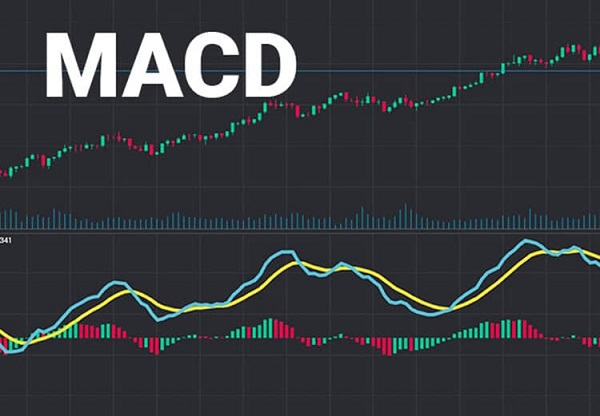 Đường MACD Là Gì? Cách Sử Dụng Để Đầu Tư Hiệu Quả