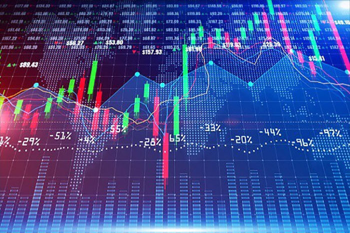 Introduction to Vietnamese Securities