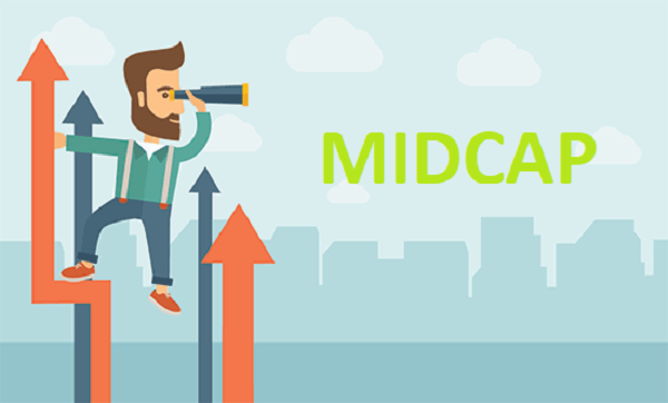 Midcap Stocks With Outstanding Profit Potential In The Stock Market